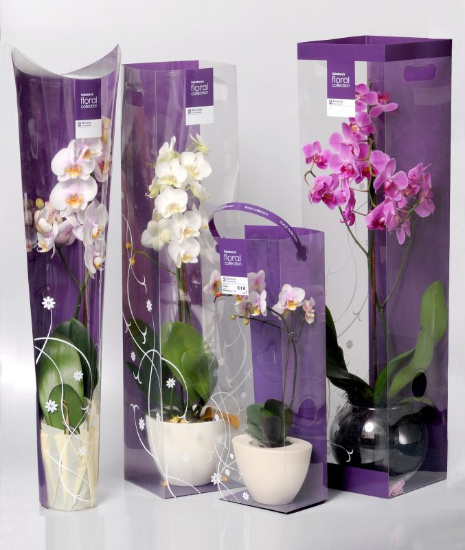 acetate boxes for orchids. Concave, with cut out handles, small with ribbon handles and large