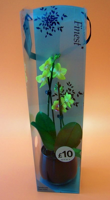 printed plastic packaging for yellow orchid