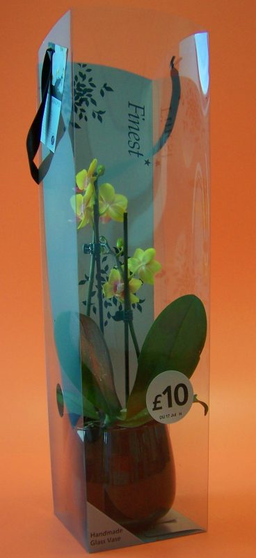 double orchid in acetate box with handles