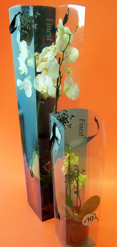 small and big acetate box for orchids