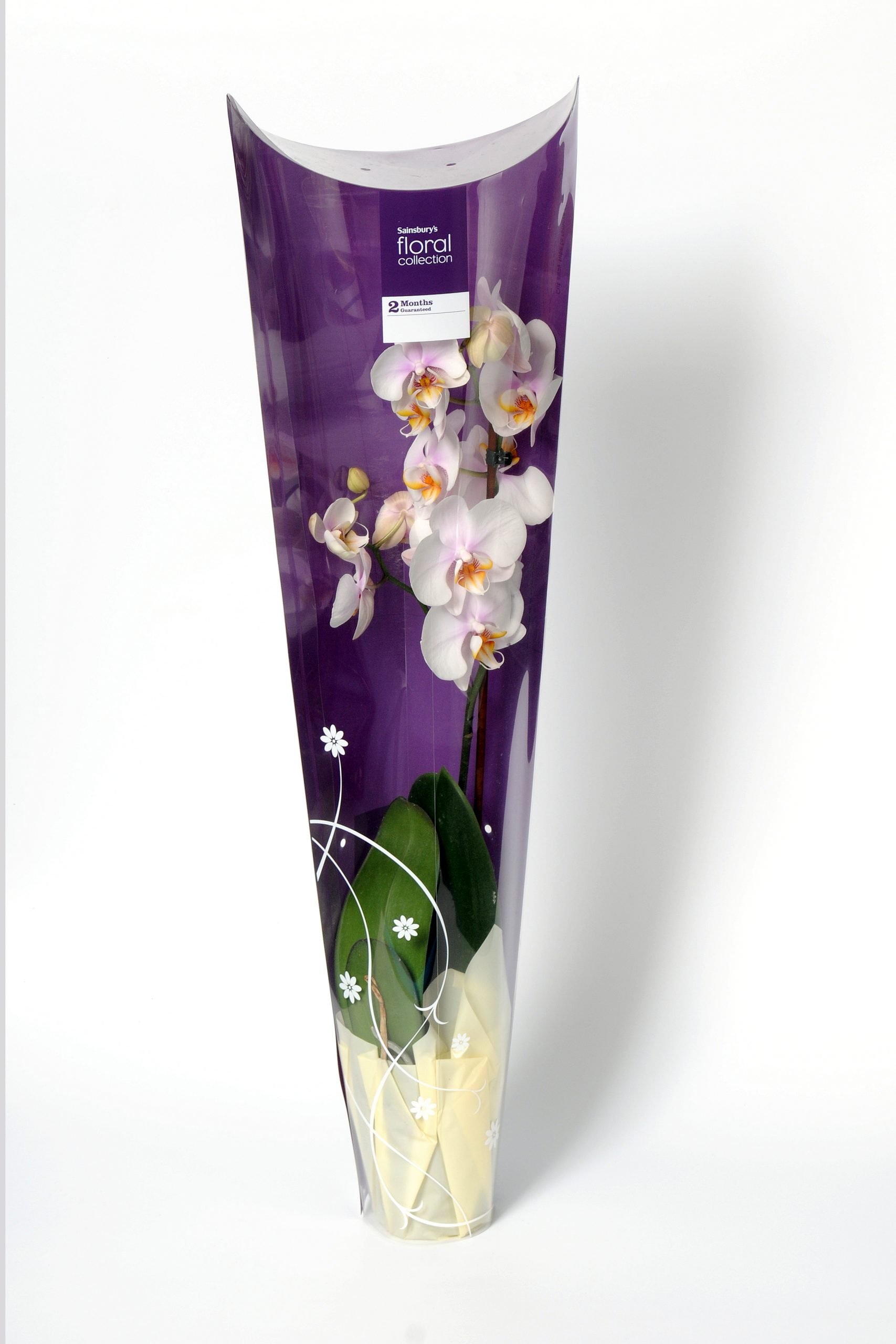 sainsburys custom plastic box for gift flowers