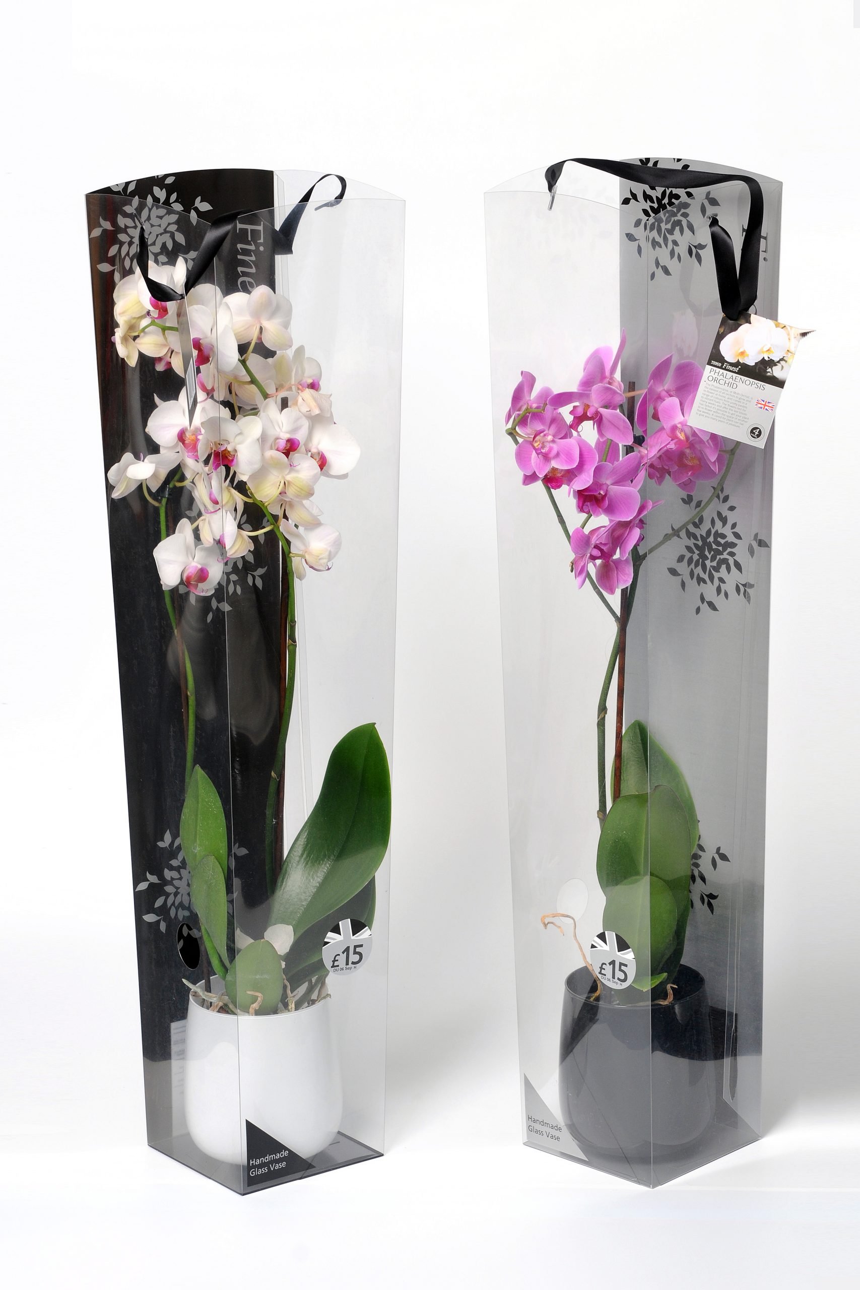 custom plastic packaging for flowers