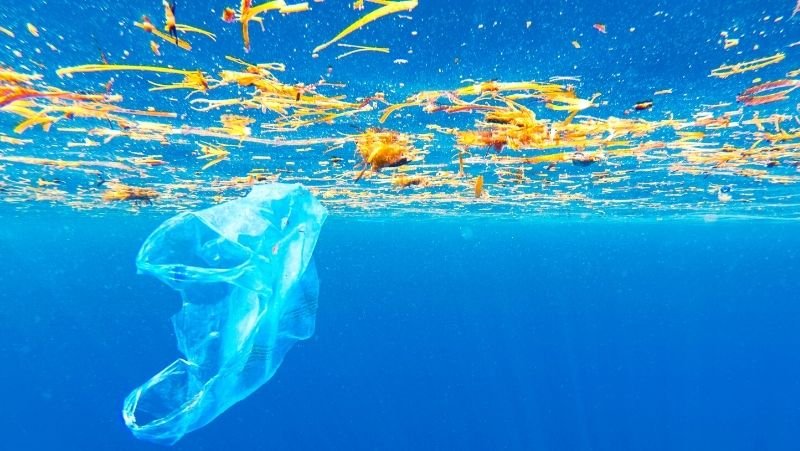 plastic bag in the ocean